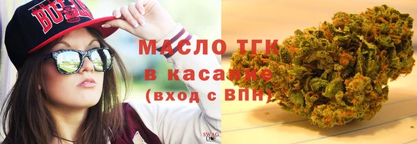 гашик Снежногорск
