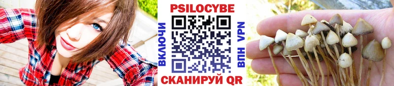 Псилоцибиновые грибы прущие грибы  купить наркоту  Видное 