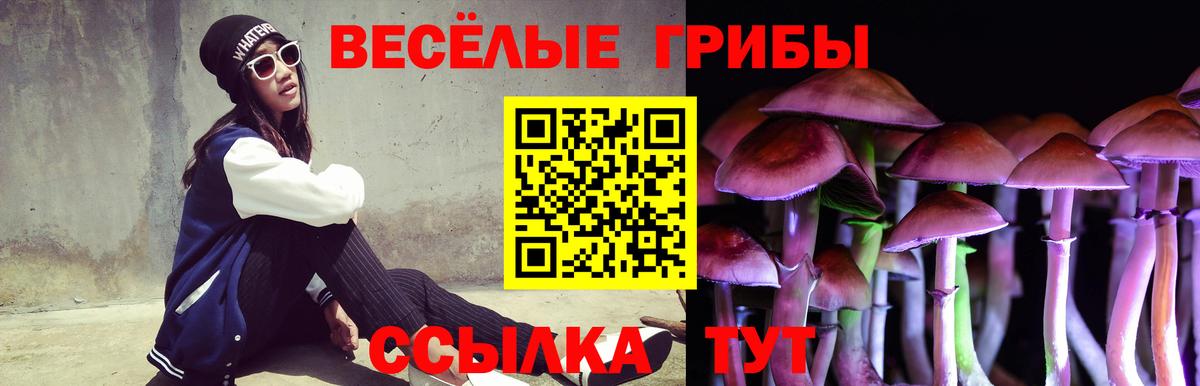 Видное  Псилоцибиновые грибы мицелий  Вход с VPN 