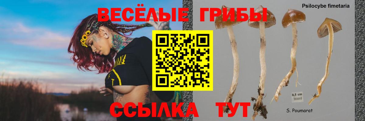Галлюциногенные грибы мицелий Видное