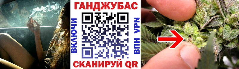 Конопля план Видное